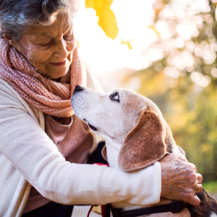 Moving With an Elderly Pet