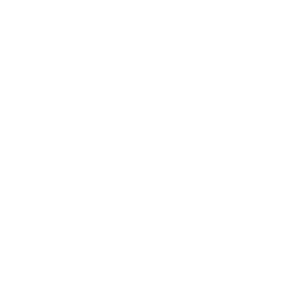 careful loading icon