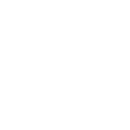 Professional Packing icon